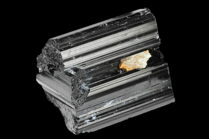 Black Tourmaline (Schorl) Crystal - Madagascar #174131
